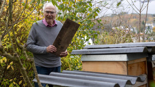 Der Remchinger Hobby-Imker und Altbürgermeister Wolfgang Oechsle hat vor seinen Bienenstöcken in Nöttingen stundenlang versucht, Wolfgang Oechsle Asiatische Hornisse
