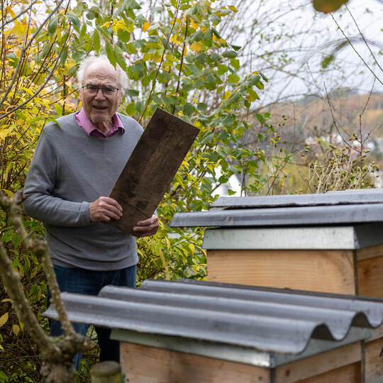 Wolfgang Oechsle Asiatische Hornisse