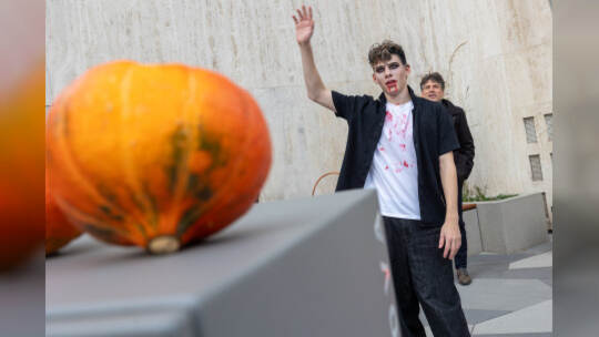 PZ Nova Halloween Event