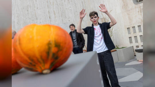 PZ Nova Halloween Event