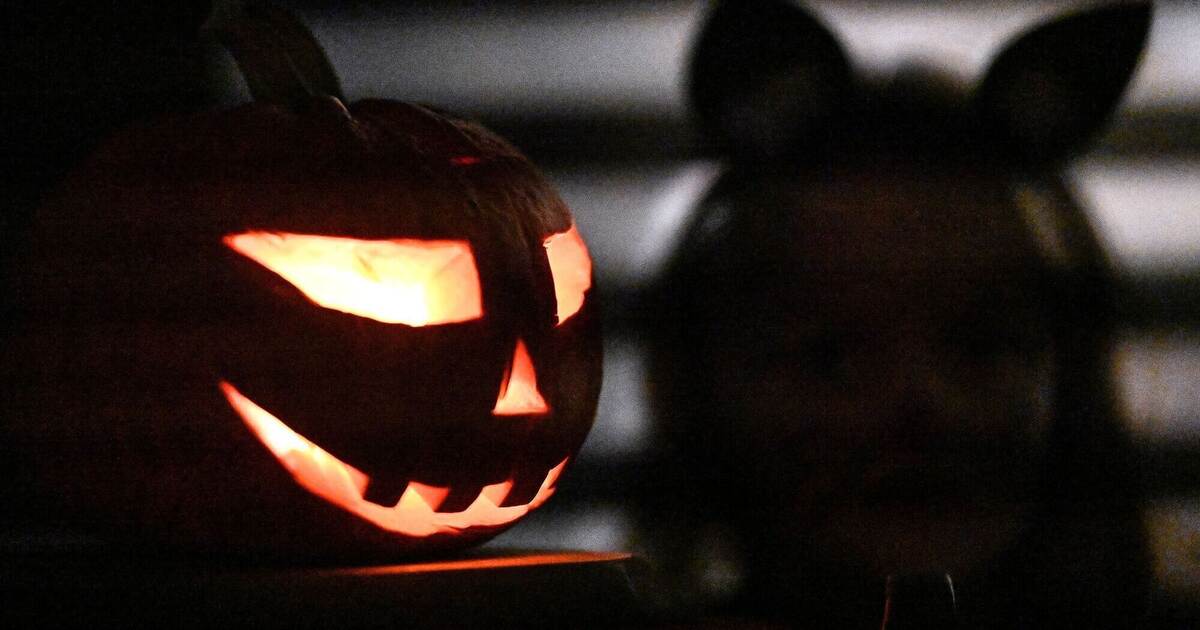 バーデン・ヴュルテンベルク州南西部でハロウィーンの夜に数百件の「いたずら作戦」