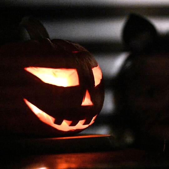 Halloween in Göttingen