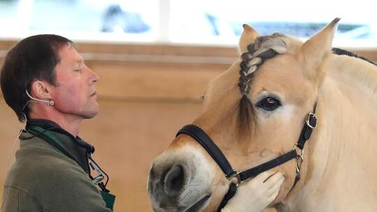 Fachtierarzt Axel Soulier referiert zu Pferdegesundheit, die im Maul beginnt.