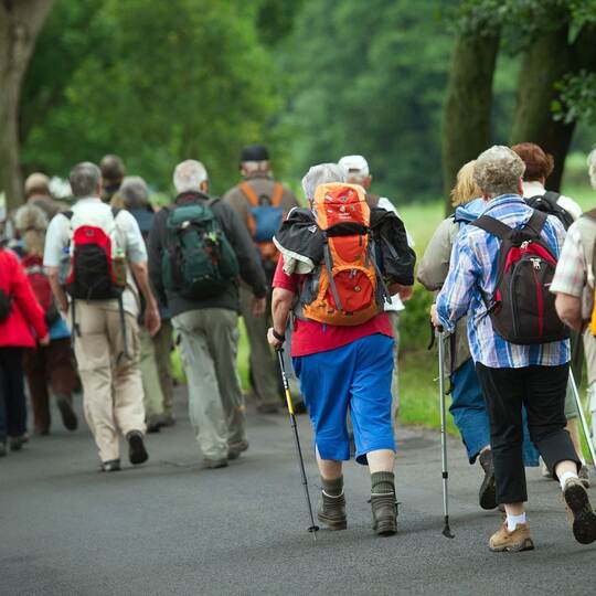 Körperliche Aktivität kann Alzheimer-Ausprägung verlangsamen