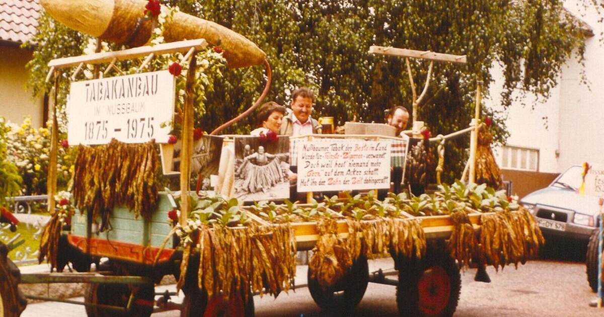 Cultivation until 50 years ago: Nussbaum, tobacco, and love