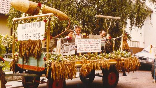 Beim Festumzug zur 1100-Jahr-Feier Nußbaums wurde der Tabakanbau am 19. Juni 1983 durch den Obst- und Gartenbauverein mit einem