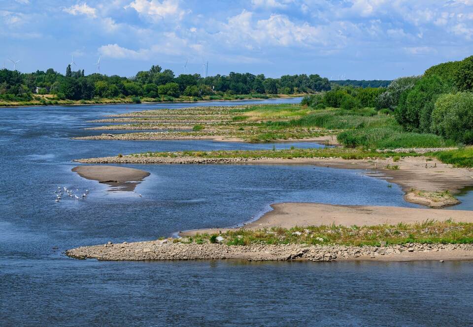Niedrigwasser im Grenzfluss Oder