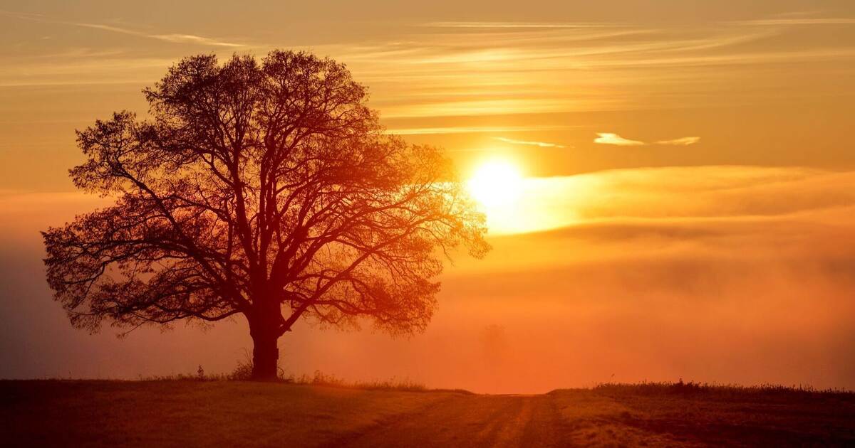 Nebel legt sich übers Land - aber auch Sonne möglich