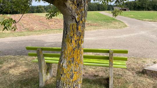 Sitzbänke in der Nähe von Bäumen oder gar im Wald haben es noch schwer. Dort ist die Gefahr herabfallender Äste oder umstürzende