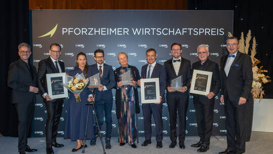 Wirtschaftspreis 2025