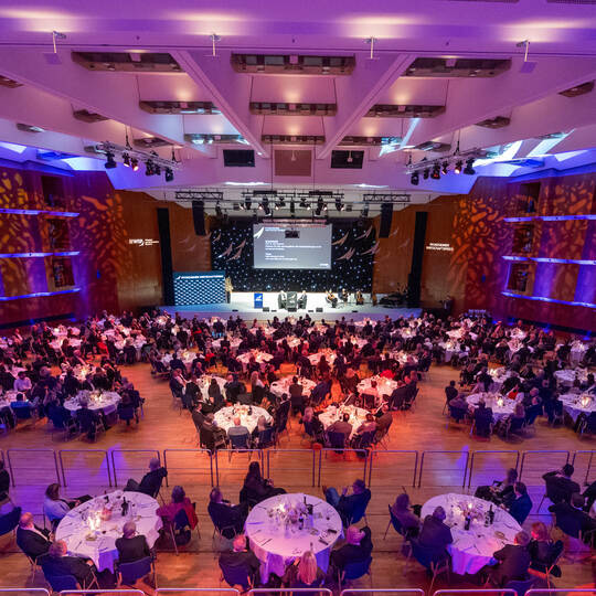 Wirtschaftspreis 2025