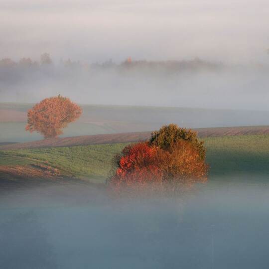 Wetter in Baden-Württemberg