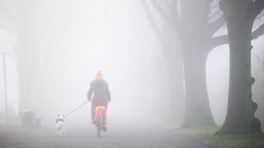 Herbst in Niedersachsen