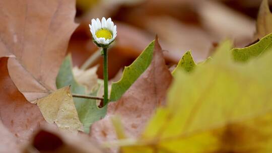Wetter in Baden-Württemberg