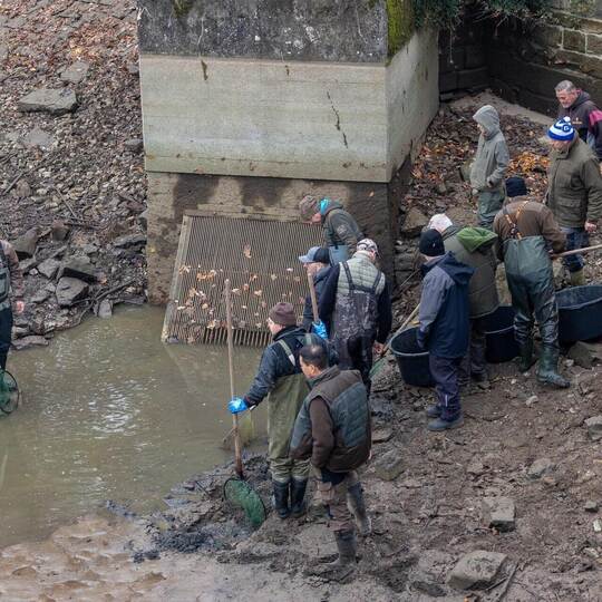 Das Grundablasswerk am Tiefen See muss saniert werden. meyer