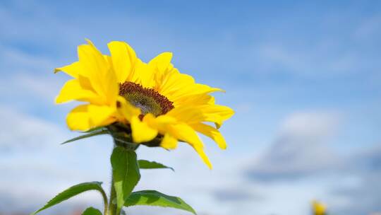 Wetter in Baden-Württemberg Wetter in Baden-Württemberg