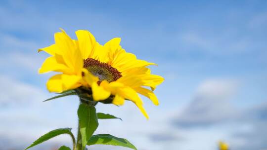 Bis zu 20 Grad am Donnerstag