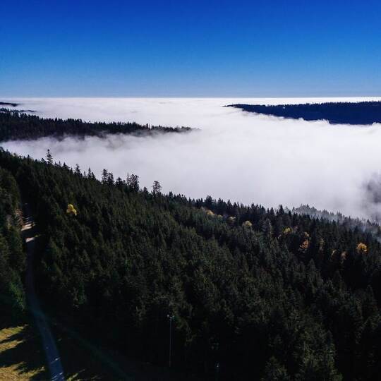 Nationalpark-Erweiterung Nationalpark-Erweiterung