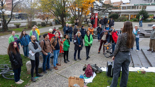 Fridays for Future Demo