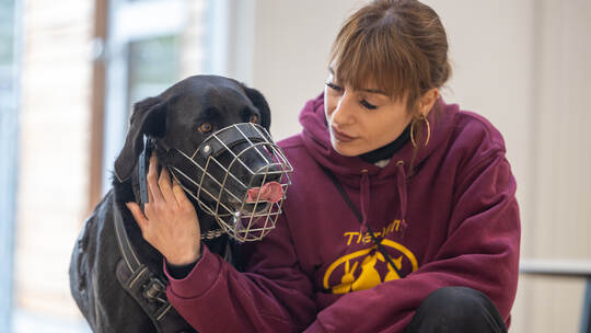 Tierheim Magazin Serie Cooper