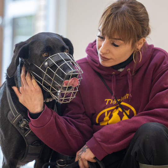 Tierheim Magazin Serie Cooper