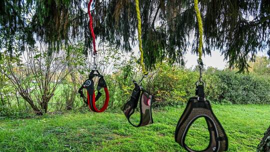 Hobby-Dogging - ein neuer Trend Hobby-Dogging - ein neuer Trend