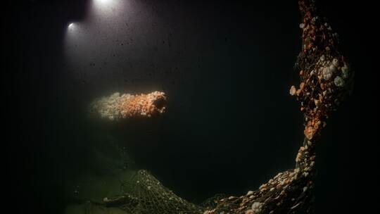 Von deutschem U-Boot versenkt: Forscher tauchen zu Wrack Von deutschem U-Boot versenkt: Forscher tauchen zu Wrack