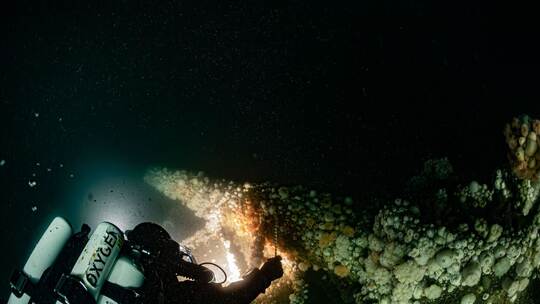 Von deutschem U-Boot versenkt: Forscher tauchen zu Wrack Von deutschem U-Boot versenkt: Forscher tauchen zu Wrack