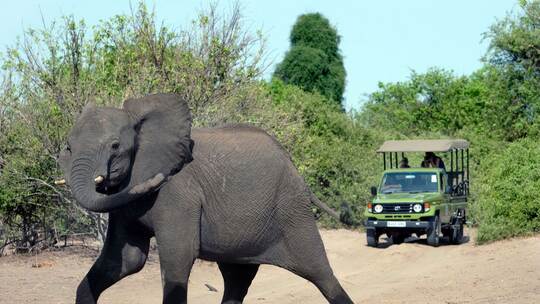 Spaniens Altkönig Juan Carlos Spaniens Altkönig Juan Carlos
