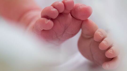 Illustration - Geburten Illustration - Geburten