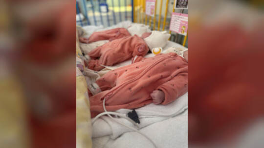 Seltene Drillinge in Böblingen Seltene Drillinge in Böblingen