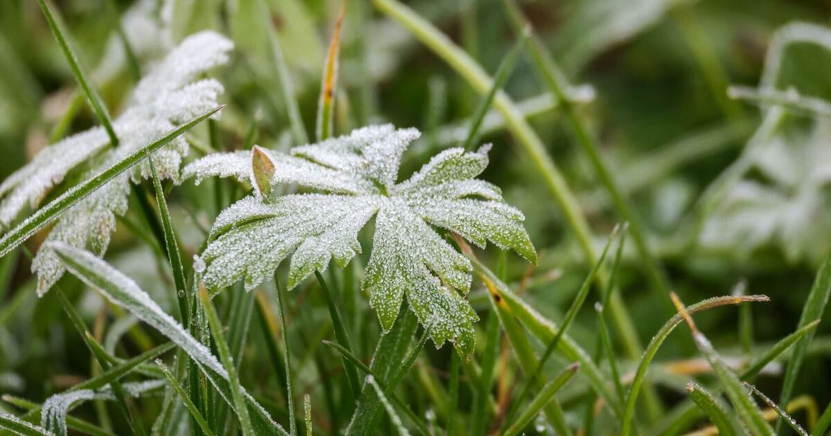 Frost und Glätte am Morgen im Südwesten