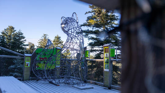 Reportage Lichterzauber Baumwipfelpfad Sommerberg