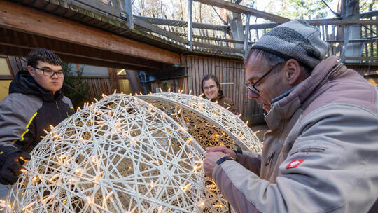 Reportage Lichterzauber Baumwipfelpfad Sommerberg