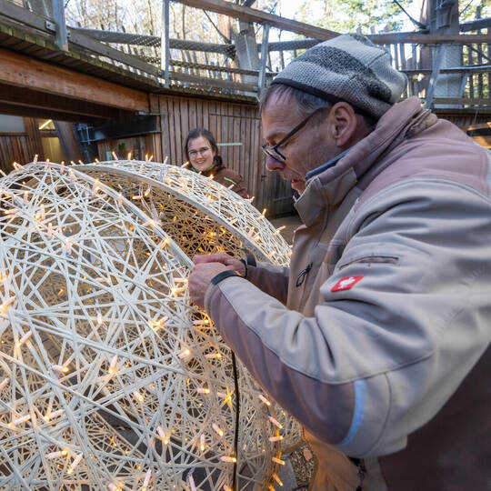 Reportage Lichterzauber Baumwipfelpfad Sommerberg