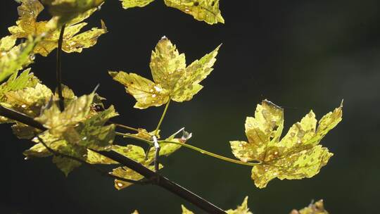 Wetter in Baden-Württemberg Wetter in Baden-Württemberg