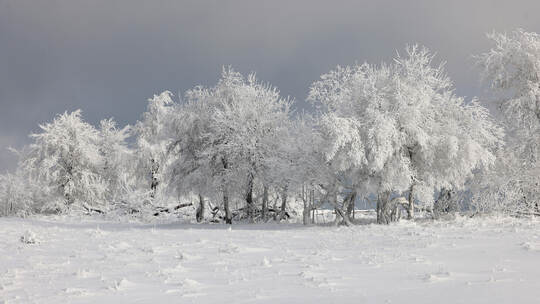 Winterwetter im Sauerland