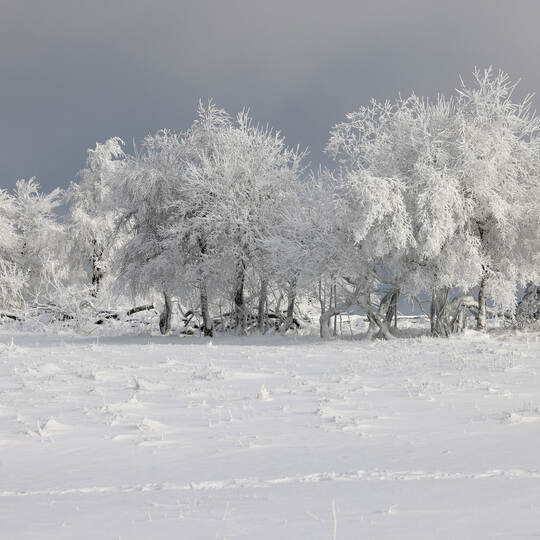 Winterwetter im Sauerland