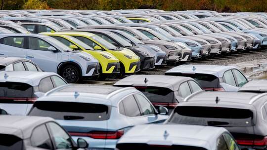 Elektrofahrzeuge von BYD