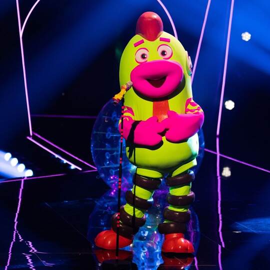 „The Masked Singer“