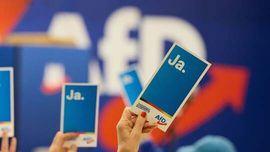 Landesparteitag AfD Hamburg