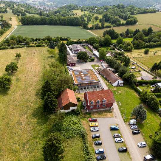 Tierheim Pforzheim Mag Serie