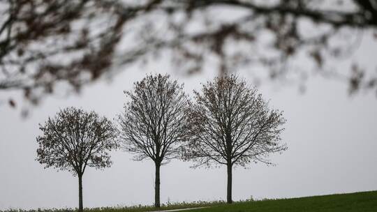 Wetter in Baden-Württemberg