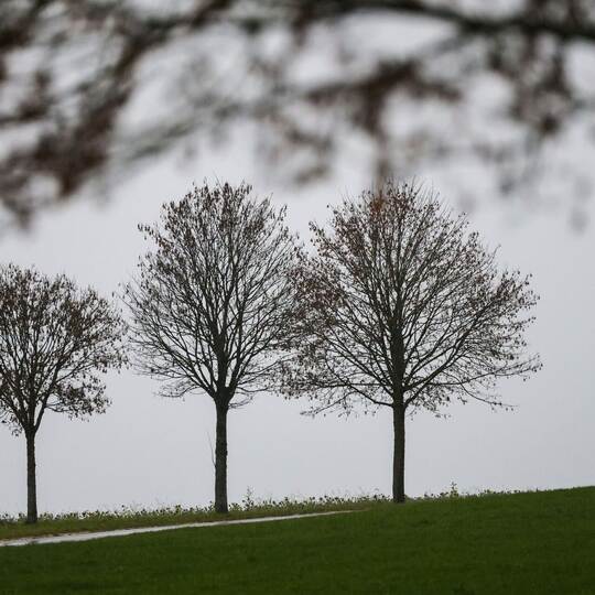Wetter in Baden-Württemberg