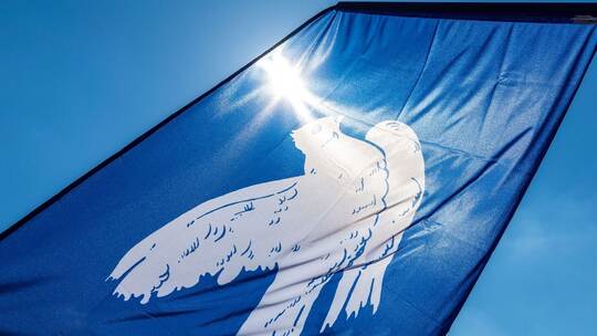 Friedenstaube Friedenstaube