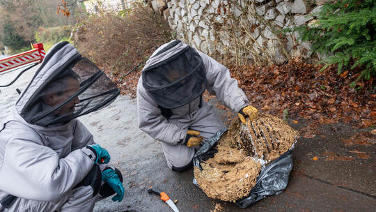 Zurück am Boden, legt Michael Gues das faszinierende Innenleben frei.