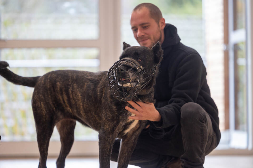 Tierheim Magazin Serie Bonnie