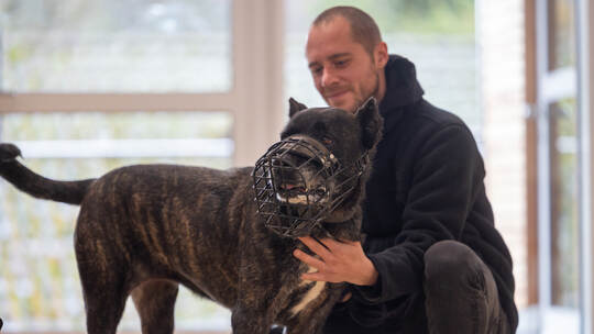 Tierheim Magazin Serie Bonnie