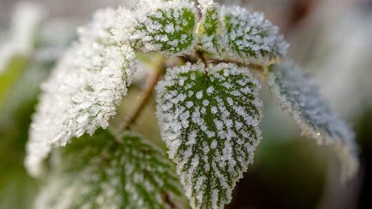 Wetter in Baden-Württemberg Wetter in Baden-Württemberg