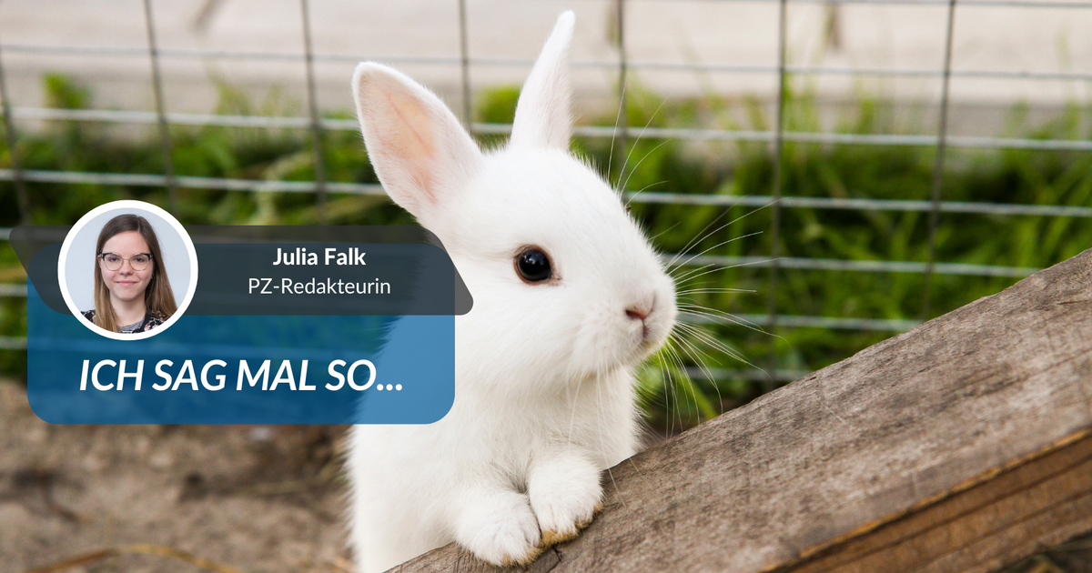 Image for Verzweiflungstat? Influencerin setzt Kaninchen aus und erntet Shitstorm